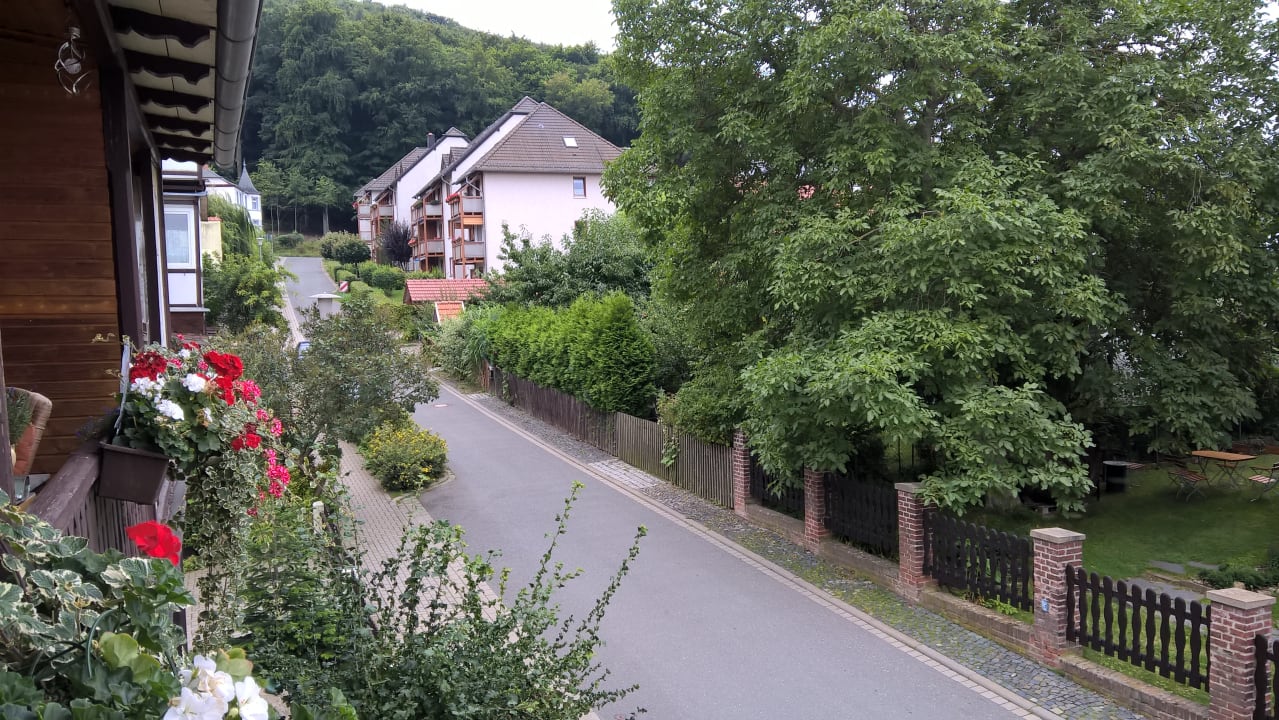 Ausblick Waldblick Appartement Familie Willam
