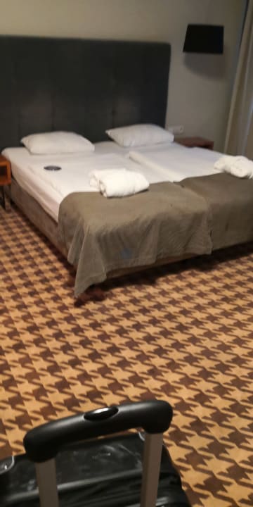 Zimmer Royal Tulip Sand