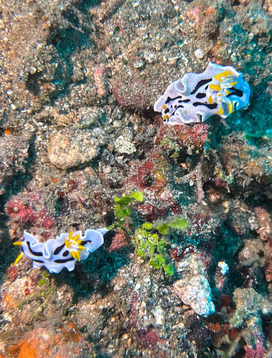 Gartenanlage Sali Bay Resort