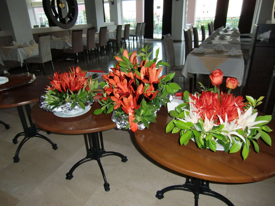 Deko Telatiye Resort