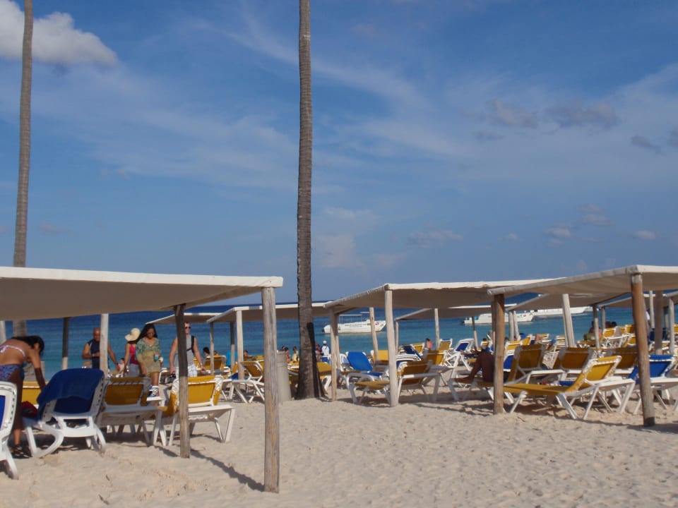 Palmenstrand vom Ocean Blue Ocean Blue & Sand