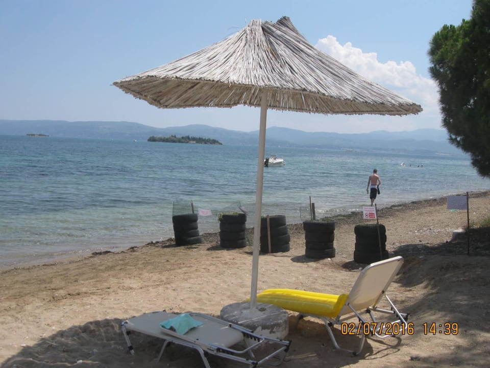 Teilweise Hunde liegen auch auf der Liegenstühle Brown Beach Eretria