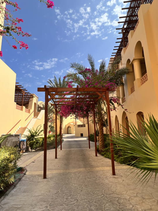 Gartenanlage Steigenberger Coraya Beach - Adults only