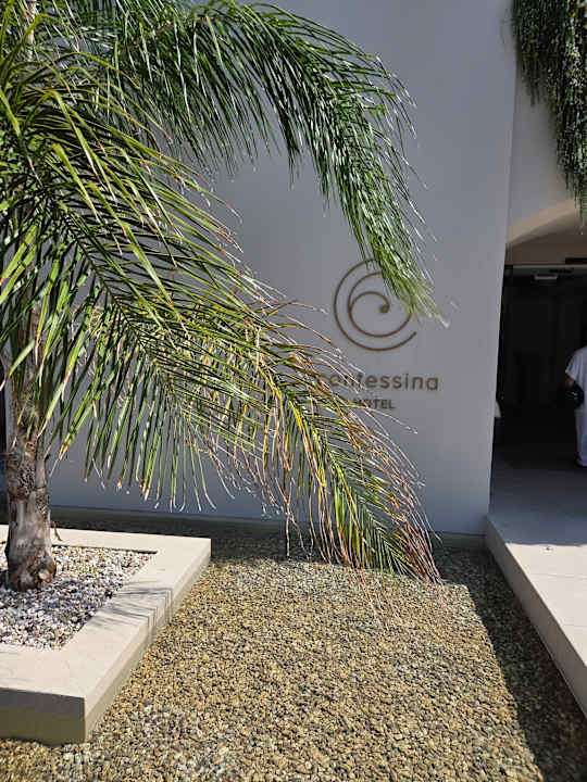 Außenansicht Hotel Contessina