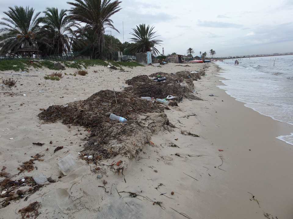Strand Nähe Alassio Hotel and Thalasso
