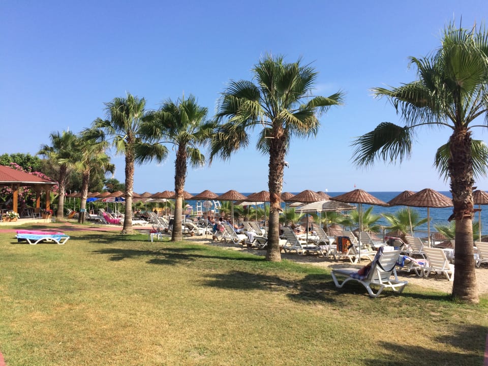 Strand Club Dizalya