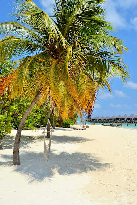 Strand Nordseite Kuredu Island Resort & Spa