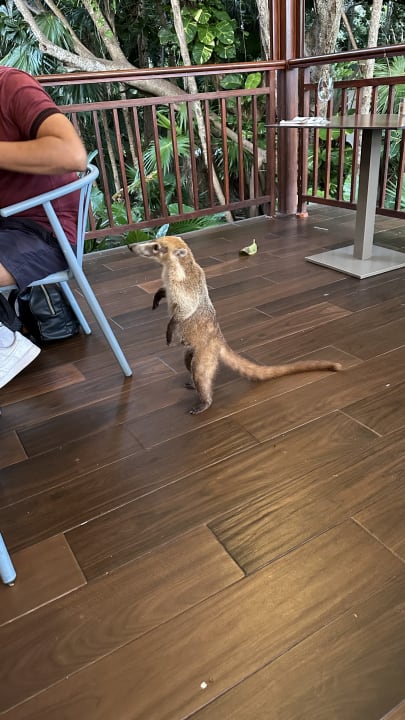 Gastro Bahia Principe Grand Tulum