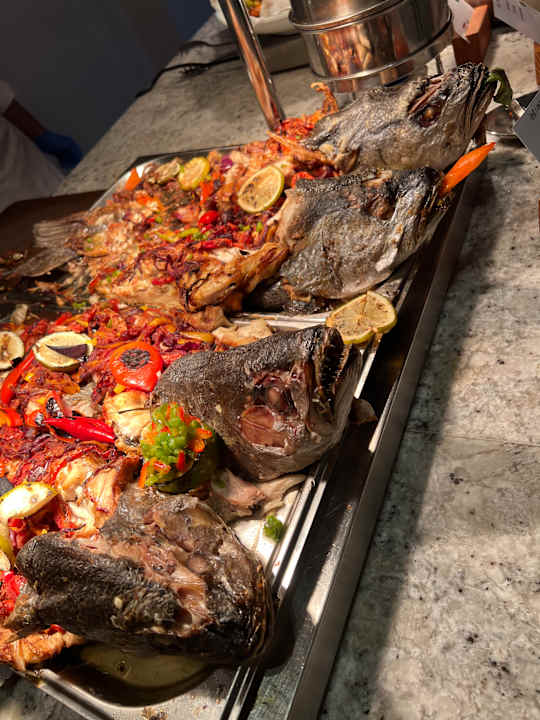 Gastro JAZ Elite Amara