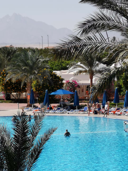 Ausblick Desert Rose