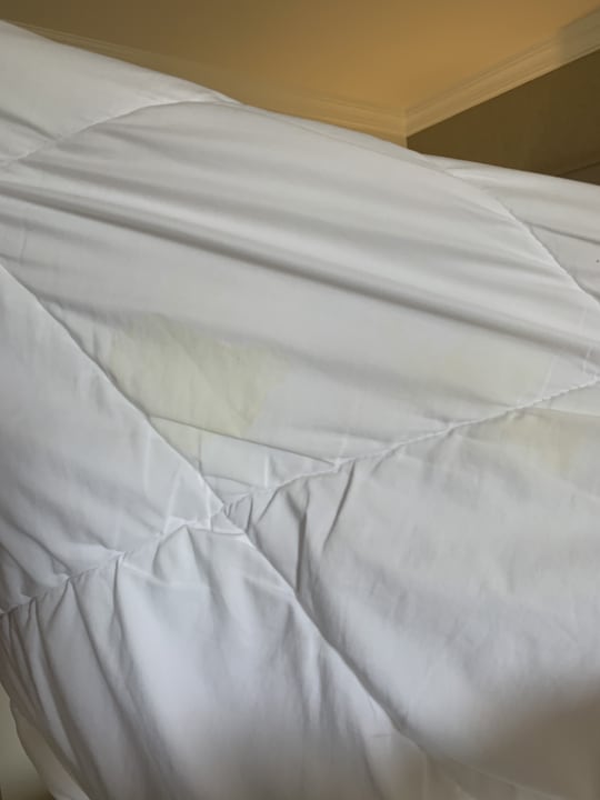 Zimmer Well Palace Side