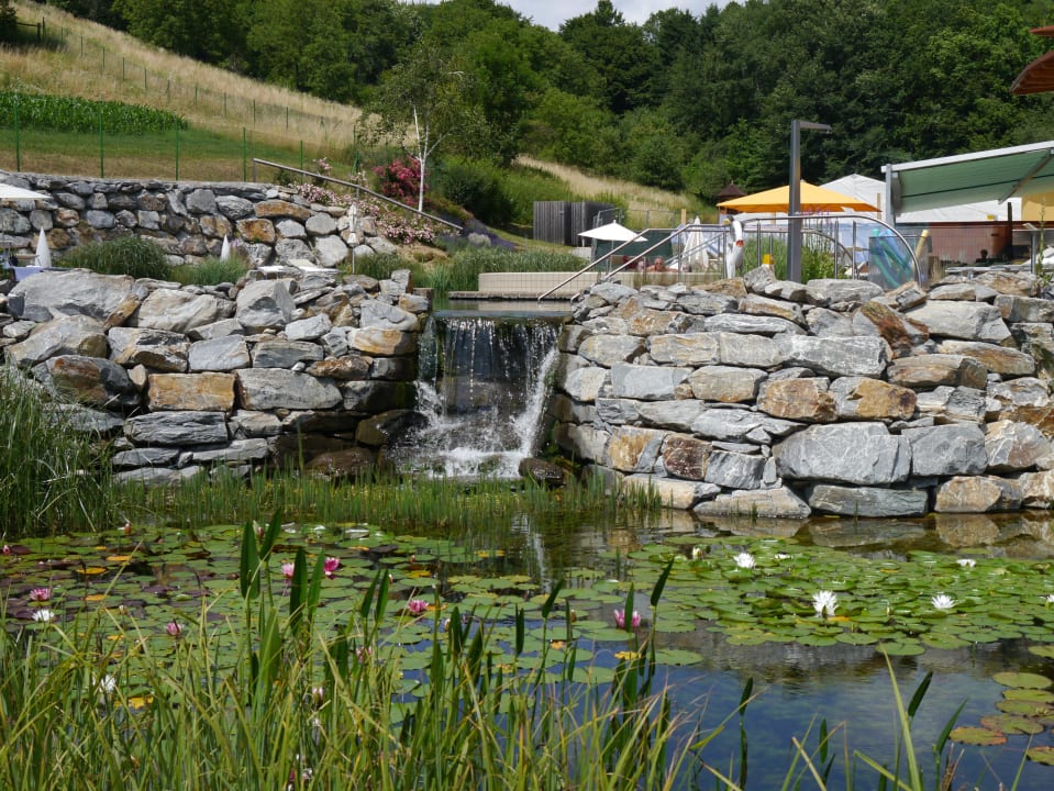 OASE Heilthermen Resort Bad Waltersdorf