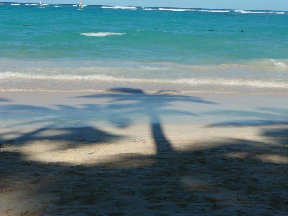 Palmenschatten Grand Palladium Select Bávaro Resort & Spa