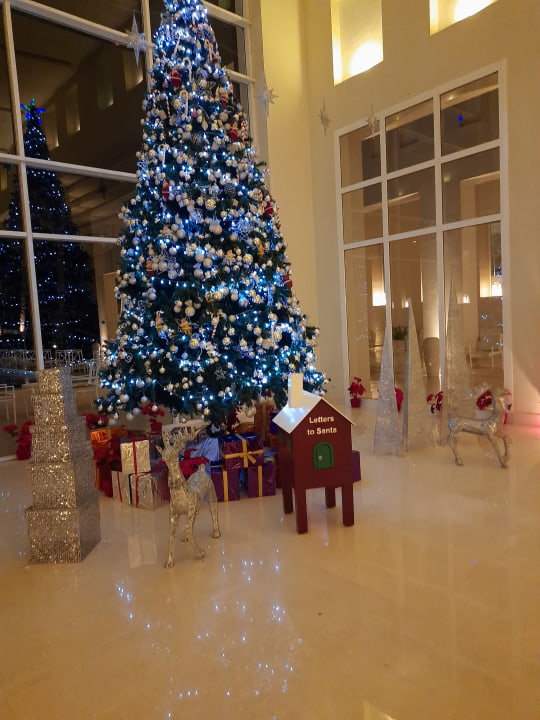 Sonstiges Jaz Aquaviva