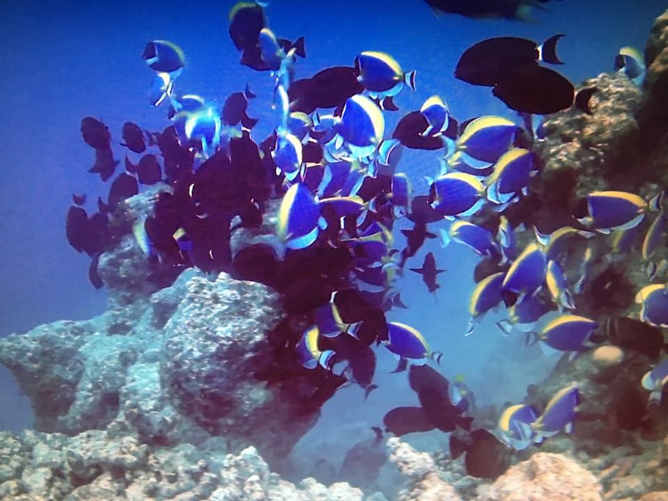 Sport & Freizeit Adaaran Club Rannalhi - All Inclusive