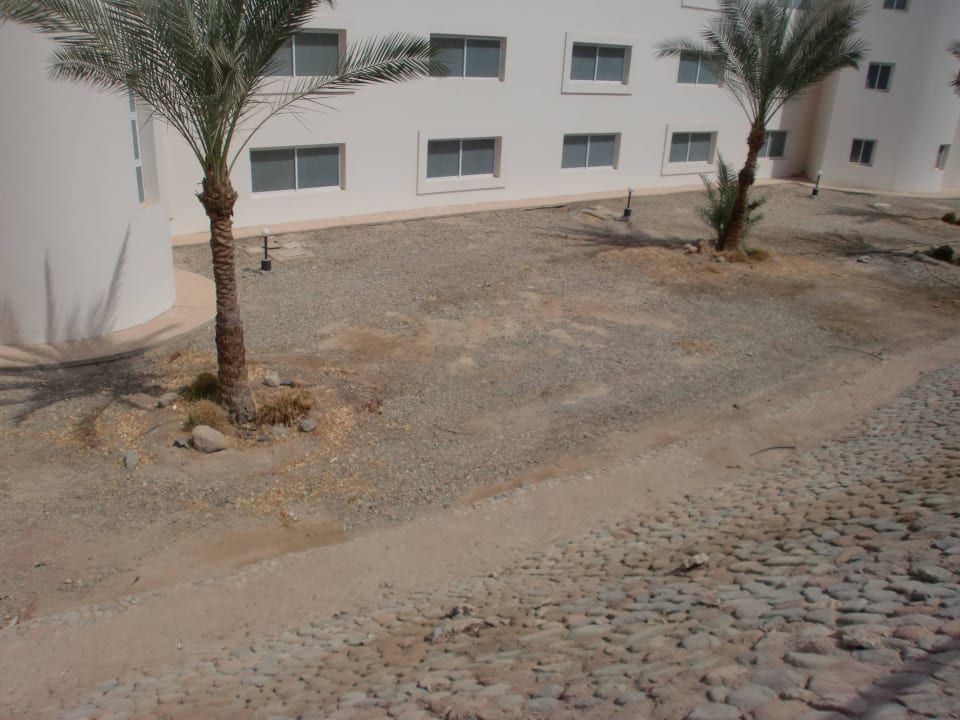 Знойная пустыня Hilton Long Beach Hotel