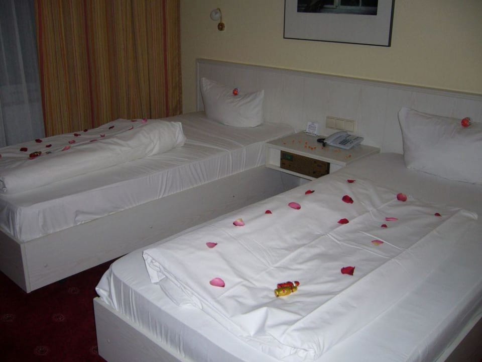 Doppelzimmer mit zwei Einzelbetten ACHAT Hotel Schwetzingen Heidelberg