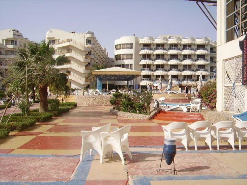 Widok hotelu Seagull Beach Resort