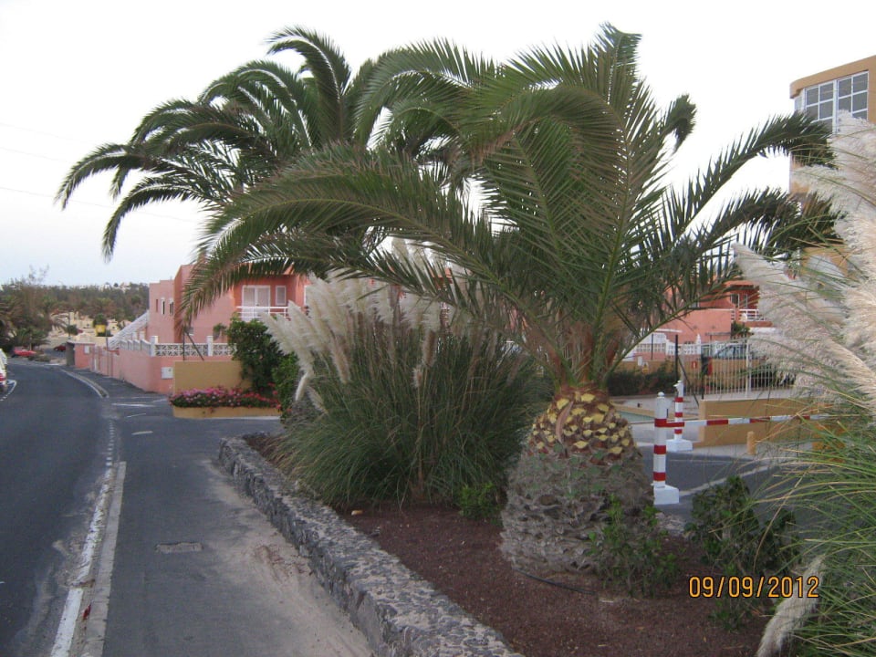 Neben dem Hotel Club Hotel Drago Park