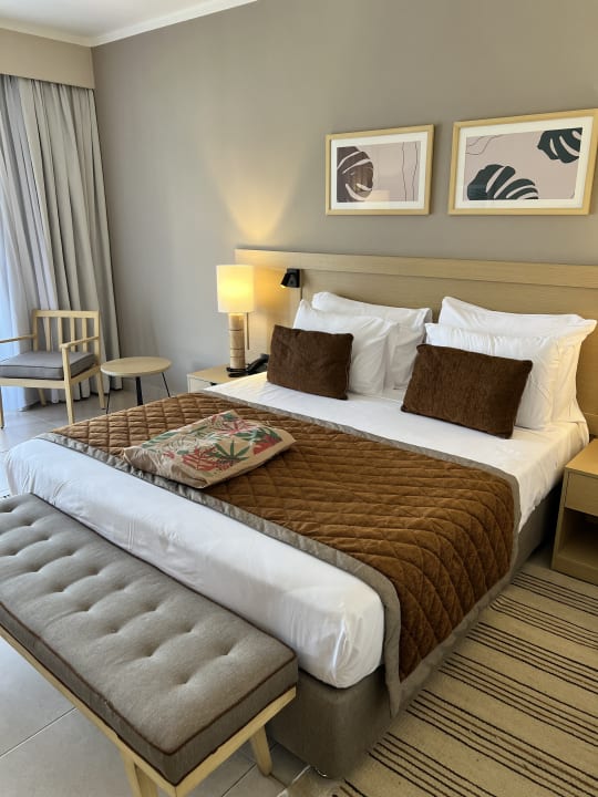 Zimmer JAZ Elite Amara