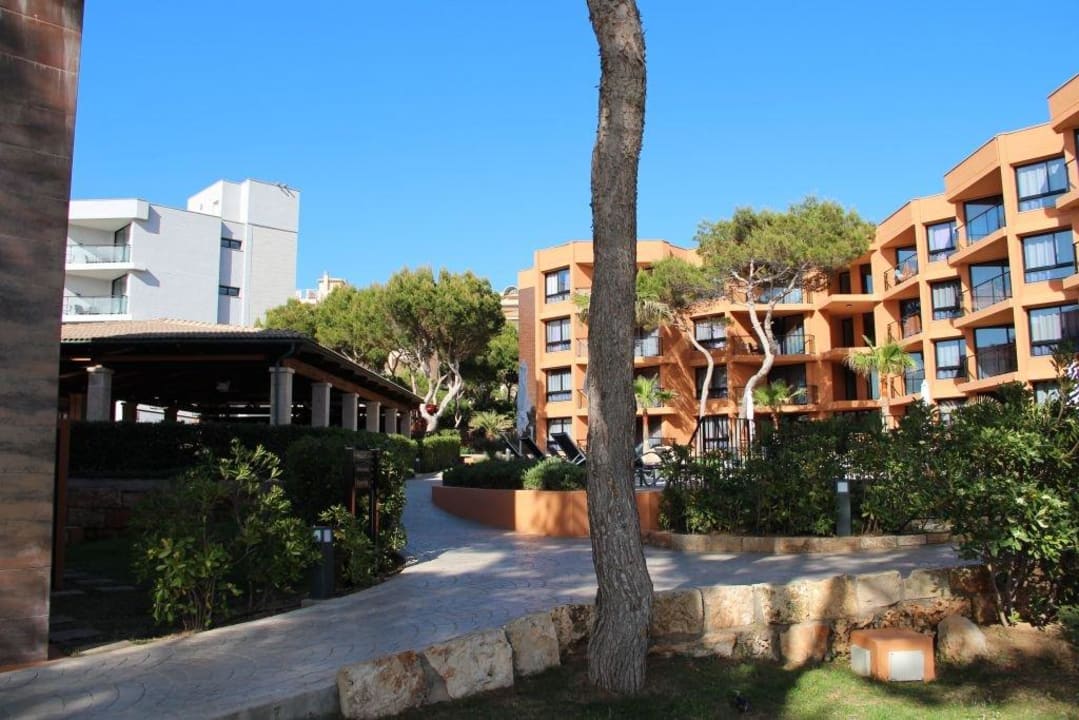 Turo Pins Protur Turo Pins Hotel