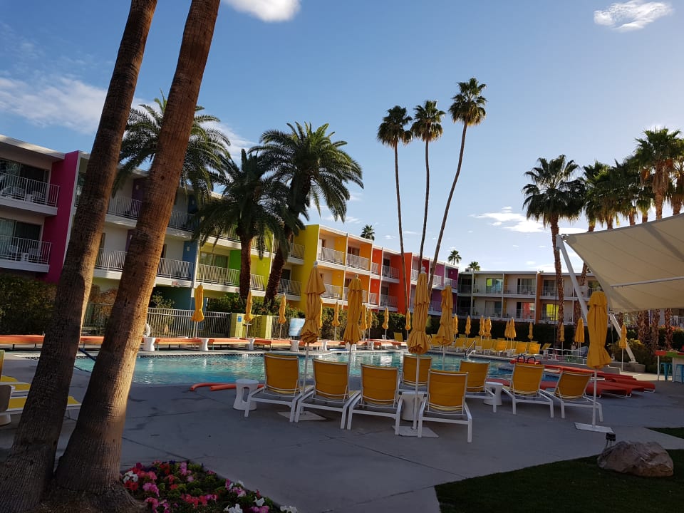 Pool Joie de Vivre Hotel The Saguaro Palm Springs