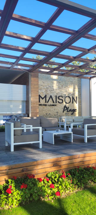 Gastro Acanthus Cennet Barut Collection