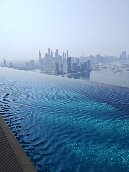 Pool Rose Rayhaan by Rotana