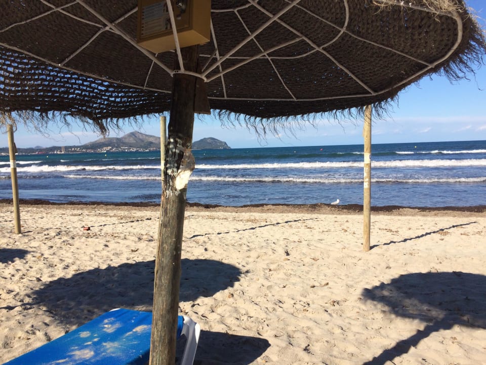 Playa Garden Selection Hotel & Spa Playa Garden Selection Hotel & Spa