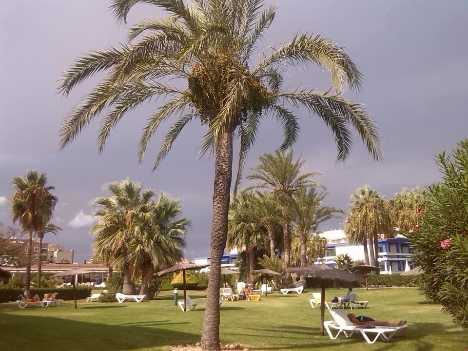 Gartenanlage Hotel Parador de Benicarlo