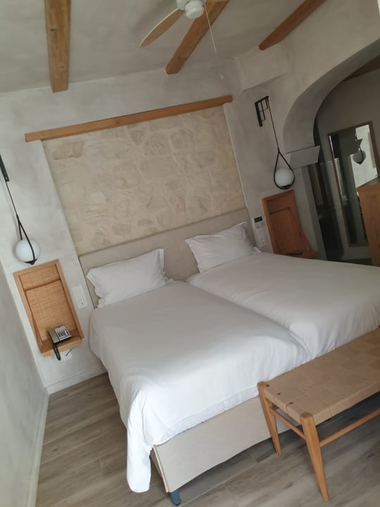 Zimmer Cactus Mare - Adults only