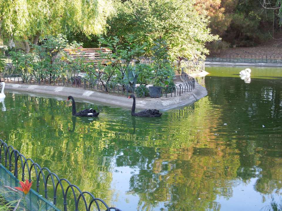 Птички в Планете Hotel Planeta