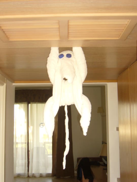 Einfallseiches Houskeeping Hotel Gorgonia Beach Resort