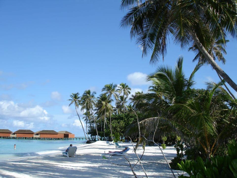 Traumstrand Meeru Maldives Resort Island