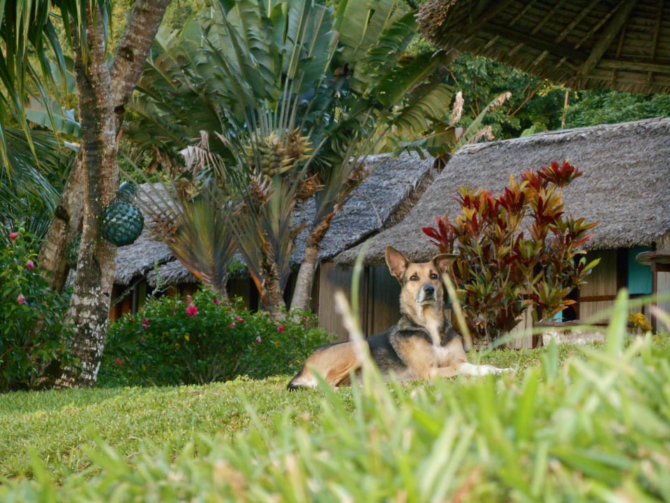 Gartenanlage La Crique