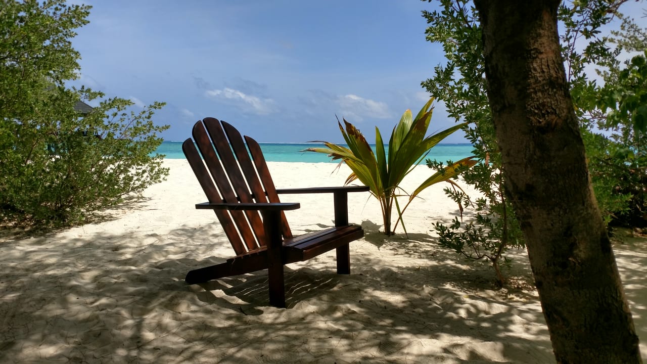 Strand Summer Island Maldives