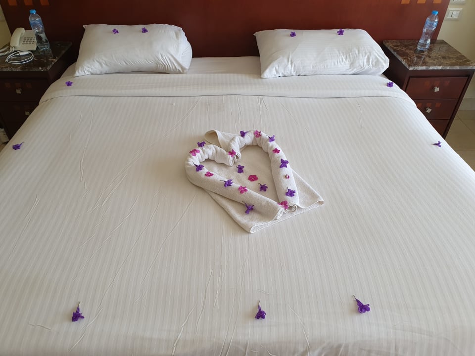 Zimmer Shams Prestige Abu Soma-Adults Only