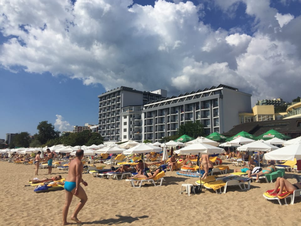 Strand Sentido Marea