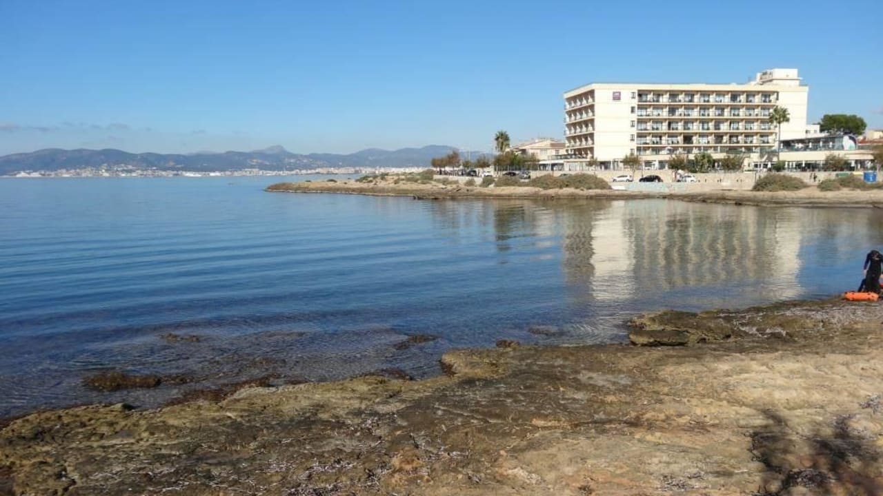 Vom Purobeach-Club fotografiert AluaSoul Palma