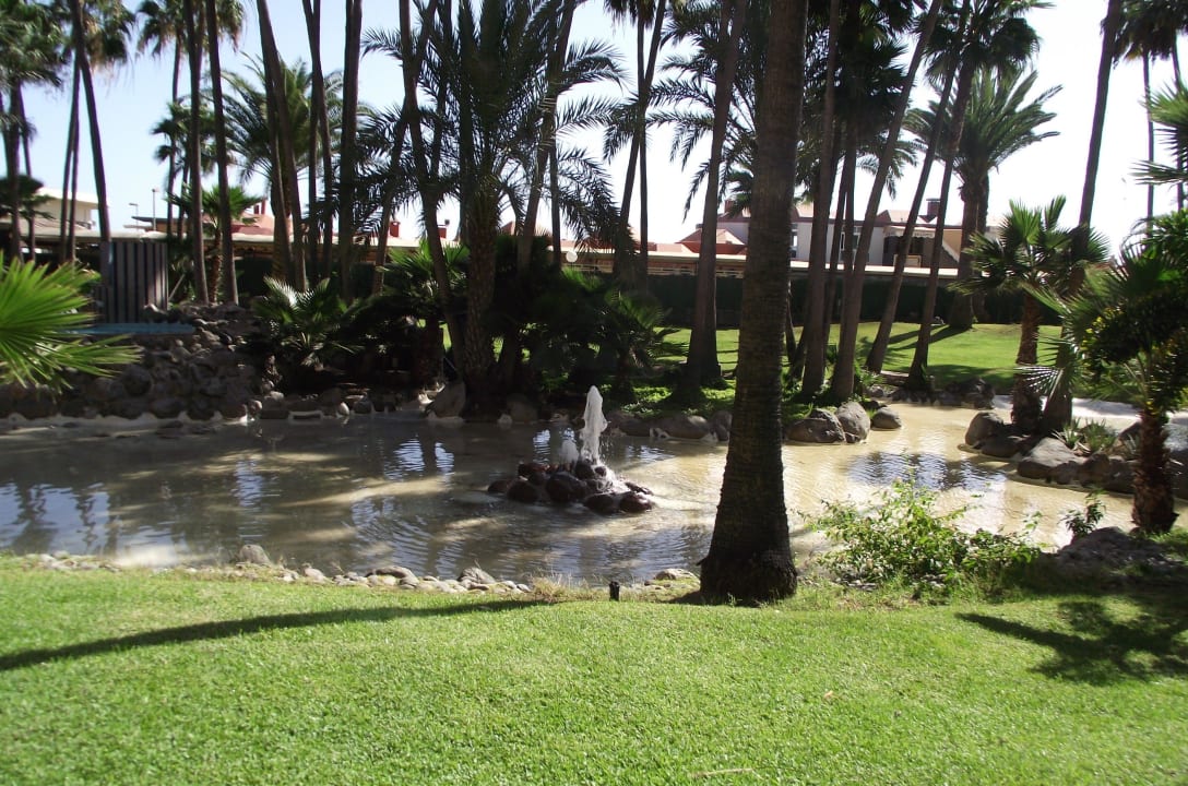 Garten Hotel Riu Palace Oasis