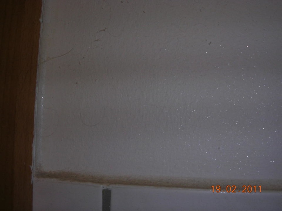 Haare im Bad Ferienpension Mittag