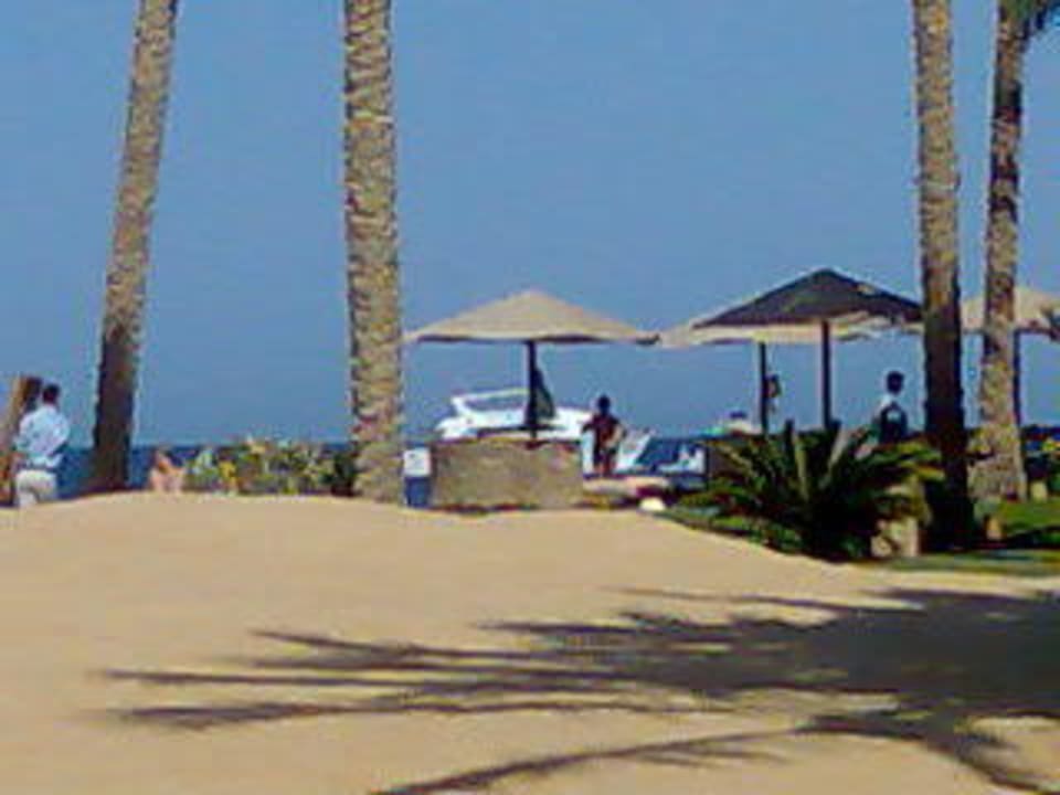 Strand mit Liegen Palmen und Sand Grand Makadi