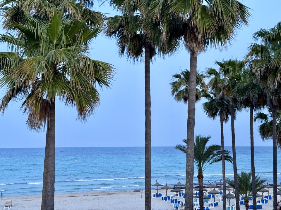 Ausblick Hipotels Mediterraneo Club