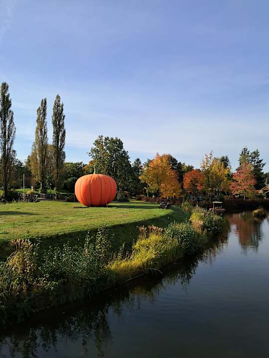 Ausblick Heide Park Abenteuerhotel