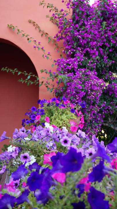 Schön bunt und farbenfroh Hotel il Vecchio Mulino