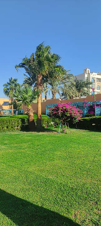 Zimmer Giftun Azur Resort