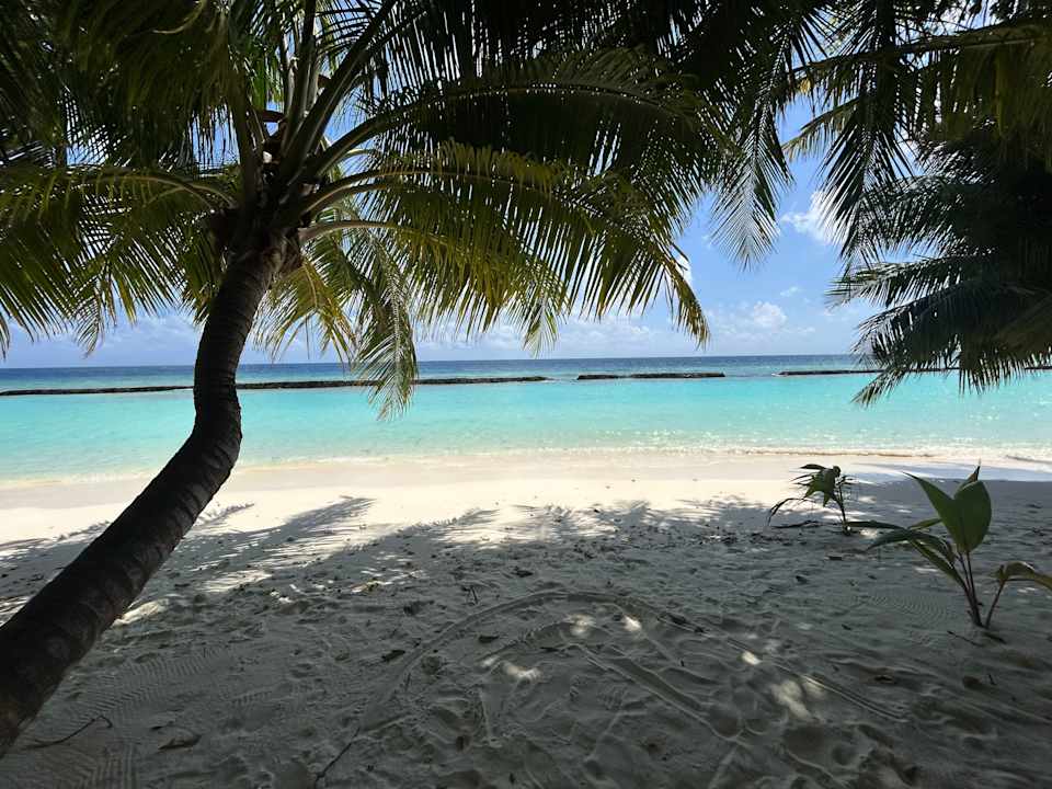 Strand Kuramathi Maldives