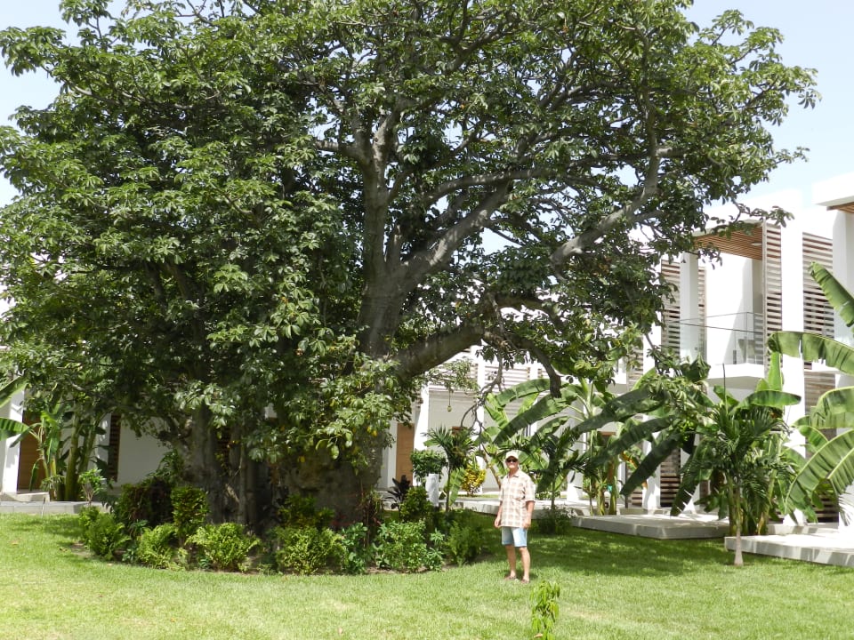 Gartenanlage TUI BLUE Tamala