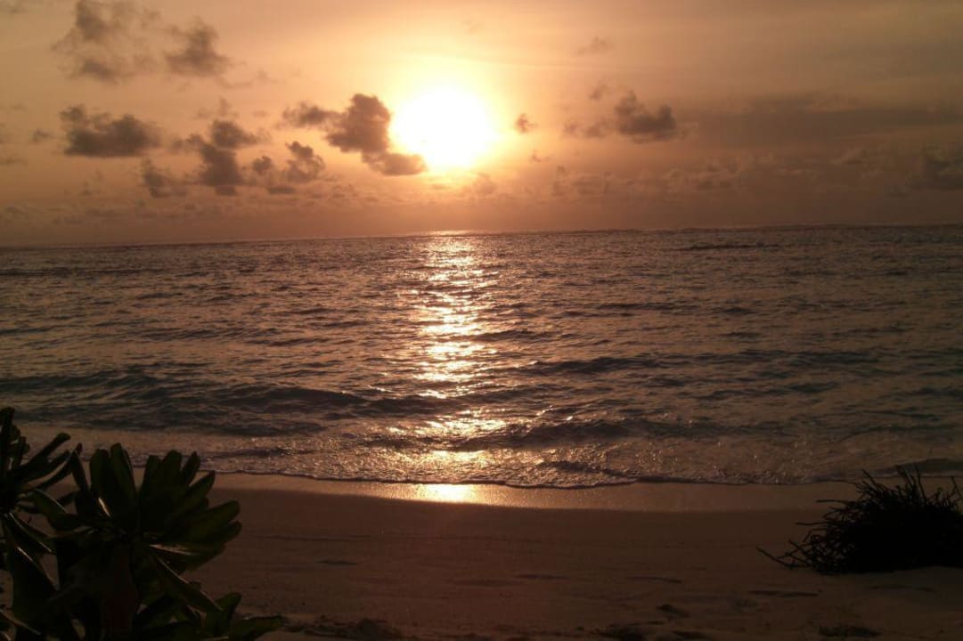 Sunset Summer Island Maldives