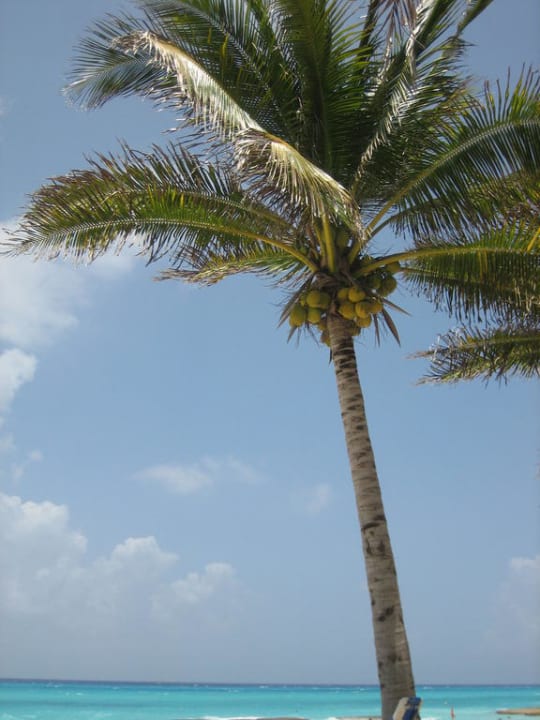 Blick auf das Meer vom Hotel-Strand Hotel Riu Palace Riviera Maya
